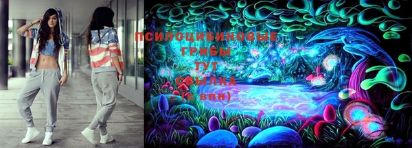 дурь Алексин