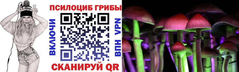 Купить закладки  Саянск  Галлюциногенные грибы Magic Shrooms 